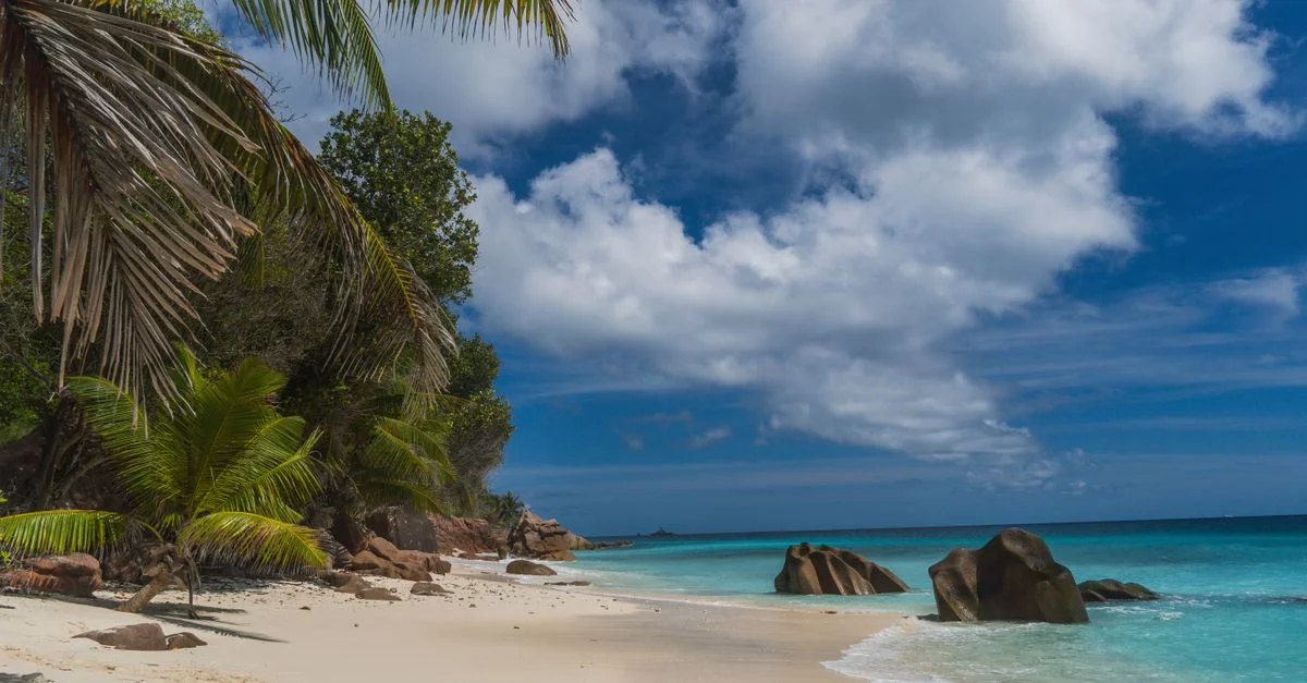 Plage de paradis tropical avec des palmiers et des rochers granitiques aux Seychelles sous un ciel bleu.